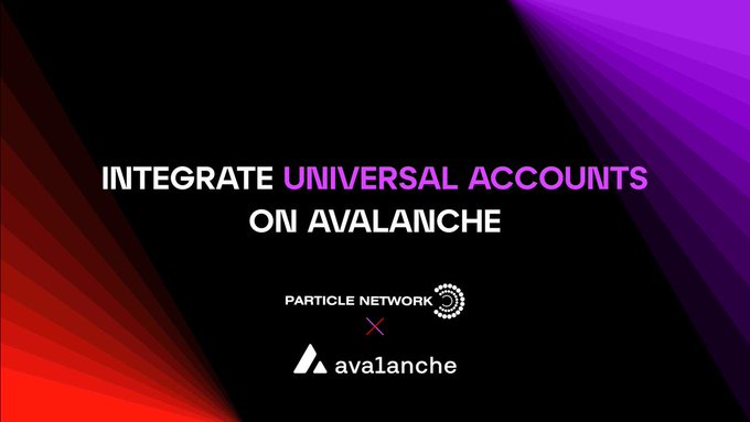 Particle Network x Avalanche